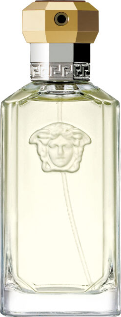 Versace the dreamer eau de toilette 100 ML