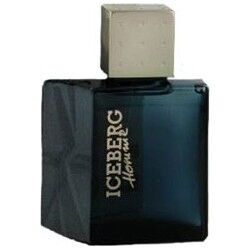 Iceberg Homme - Eau de Toilette uomo 100 ml vapo