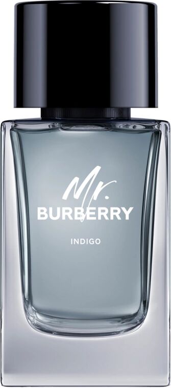 Burberry Mr Burberry Indigo EdT (100ml)