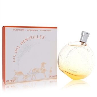 Eau Des Merveilles by Hermes - Eau De Toilette Spray 100 ml - for kvinner