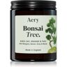 Aery Botanical Bonsai Tree vela perfumada 140 g. Botanical Bonsai Tree