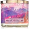 Bath & Body Works Harvest Pomegranate vela perfumada 411 g. Harvest Pomegranate