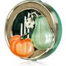 Bath & Body Works Pumpkin and Gourd suporte para ambientador de carro sem recarga 1 un.. Pumpkin and Gourd