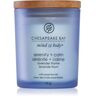 Chesapeake Bay Candle Mind & Body Serenity & Calm vela perfumada 96 g. Mind & Body Serenity & Calm