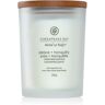 Chesapeake Bay Candle Mind & Body Peace & Tranquility vela perfumada 250 g. Mind & Body Peace & Tranquility