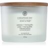 Chesapeake Bay Candle Mind & Body Peace & Tranquility vela perfumada I. 312 g. Mind & Body Peace & Tranquility