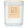 DW Home Tropics Plumeria vela perfumada 264 g. Tropics Plumeria