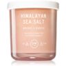 DW Home Text Himalayan Sea Salt vela perfumada 255 g. Text Himalayan Sea Salt