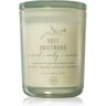 DW Home Prime Soft Driftwood vela perfumada 434 g. Prime Soft Driftwood