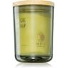 DW Home UR.BANE Sage & Hemp vela perfumada 215 g. UR.BANE Sage & Hemp