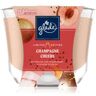 Glade Cheers Sparkling Wine vela perfumada 224 g. Cheers Sparkling Wine