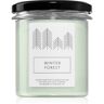 Hagi Winter Forest vela perfumada 230 g. Winter Forest