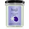 Hagi Plum vela perfumada 215 ml. Plum