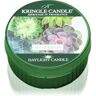 Kringle Candle Succulents vela do chá 42 g. Succulents