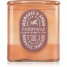 Paddywax Vista Redwoods & Amber vela perfumada 340 g. Vista Redwoods & Amber