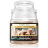 THD Vegetal Toffee E Mou vela perfumada 100 g. Vegetal Toffee E Mou