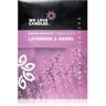 We Basic Lavender & Herbs saco perfumado 25 g. Basic Lavender & Herbs