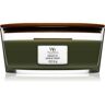 Woodwick Frasier Fir vela perfumada com pavio de madeira (hearthwick) 453.6 g. Frasier Fir