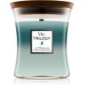 Woodwick Icy Woodland vela perfumada com pavio de madeira 275 g. Icy Woodland