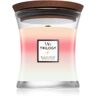 Woodwick Trilogy Blooming Orchard vela perfumada 275 g. Trilogy Blooming Orchard