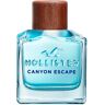 Hollister Canyon Escape For Him EDT 100 ml