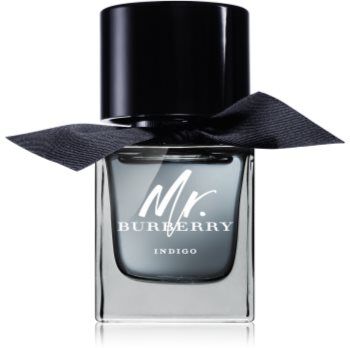 Burberry Mr. Indigo Eau de Toilette para homens 50 ml. Mr. Indigo