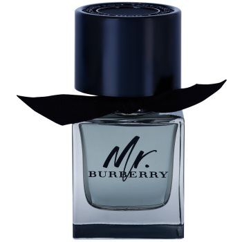 Burberry Mr. Eau de Toilette para homens 50 ml. Mr.