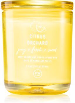 DW Home Citrus Orchard vela perfumada 264 g. Citrus Orchard