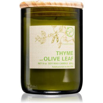 Paddywax Eco Green Thyme & Olive Leaf vela perfumada 226 g. Eco Green Thyme & Olive Leaf
