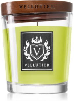 Vellutier Ancient Oakwoods vela perfumada 90 g. Ancient Oakwoods