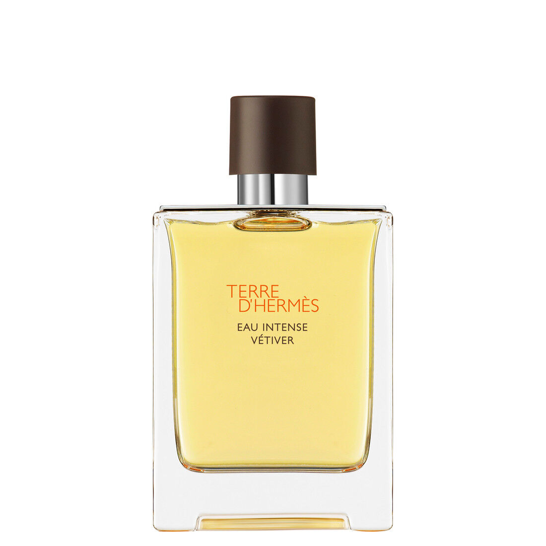 HERMÈS Terre d'Hermès Eau Intense Vétiver Eau de Parfum 100 ml