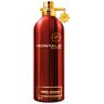 Montale Red Aoud - EDP 100 ml