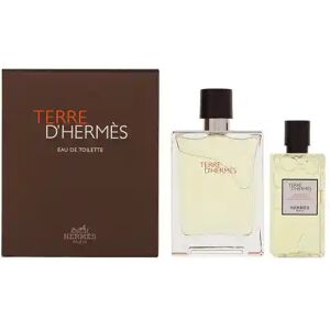 Hermes - Terre D'Hermes Eau de Toilette Gift Set (Eau de Toilette 1 x 100ml & 1x Shower Gel 80ml)