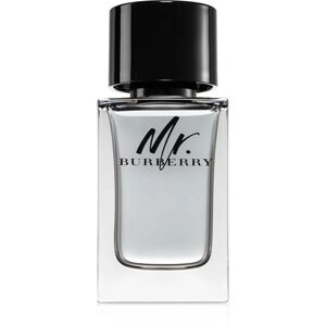 Mr. Burberry EDT M 100 ml