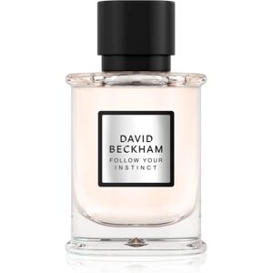 David Beckham Follow Your Instinct EDP M 50 ml