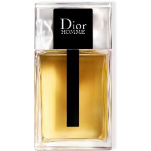 Christian Dior Dior Homme EDT M 150 ml