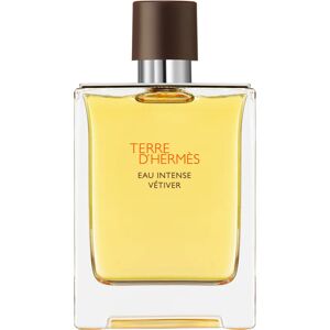 HERMÈS Terre d’Hermès Eau Intense Vétiver EDP M 100 ml