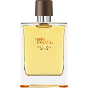 HERMÈS Terre d’Hermès Eau Intense Vétiver EDP M 200 ml