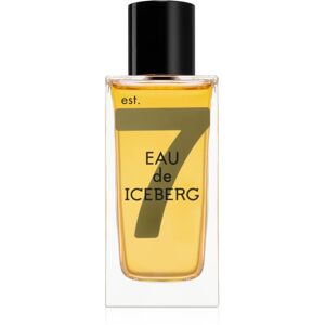 Iceberg Eau de Iceberg Amber EDT M 100 ml