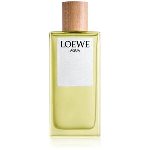 Loewe Agua EDT U 100 ml