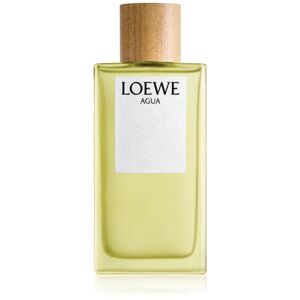 Loewe Agua EDT U 150 ml