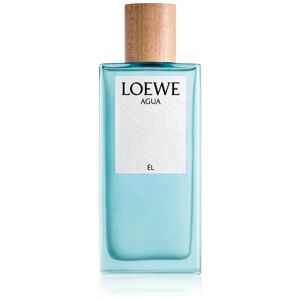Loewe Agua Él EDT M 100 ml