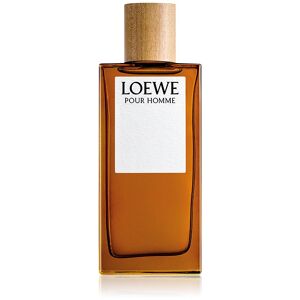 Loewe Pour Homme EDT M 100 ml