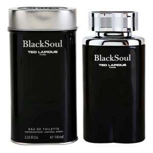 Ted Lapidus Black Soul EDT M 100 ml