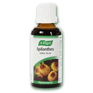 A. Vogel - Spilanthes - 50 ml.