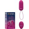 Vibrador Com Controlo Remoto Control