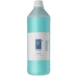 VEGA Shampoo & Duschgel Fontana 2 in 1 gross; 1000 ml; weiss; 12 Stück / Packung