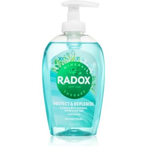 Radox Protect + Replenish savon liquide mains 250 ml