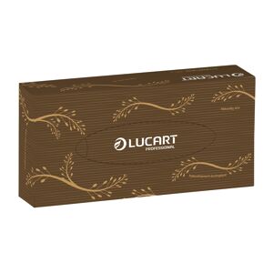 Lucart Mouchoirs double épaisseur Lucart EcoNatural - Boîte de 100 - Lot de 40