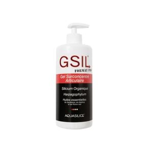 Aquasilice GSIL Gel Surconcentre Articulaire Format Pro 500ml